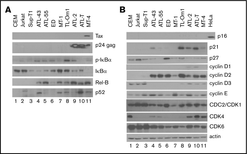 Figure 2.