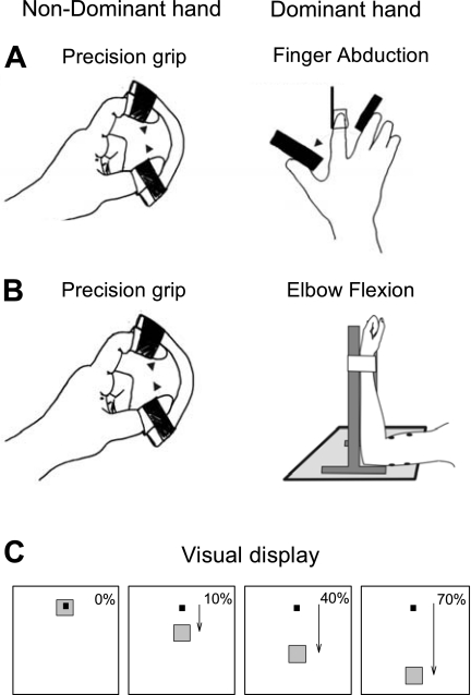 Fig. 1.