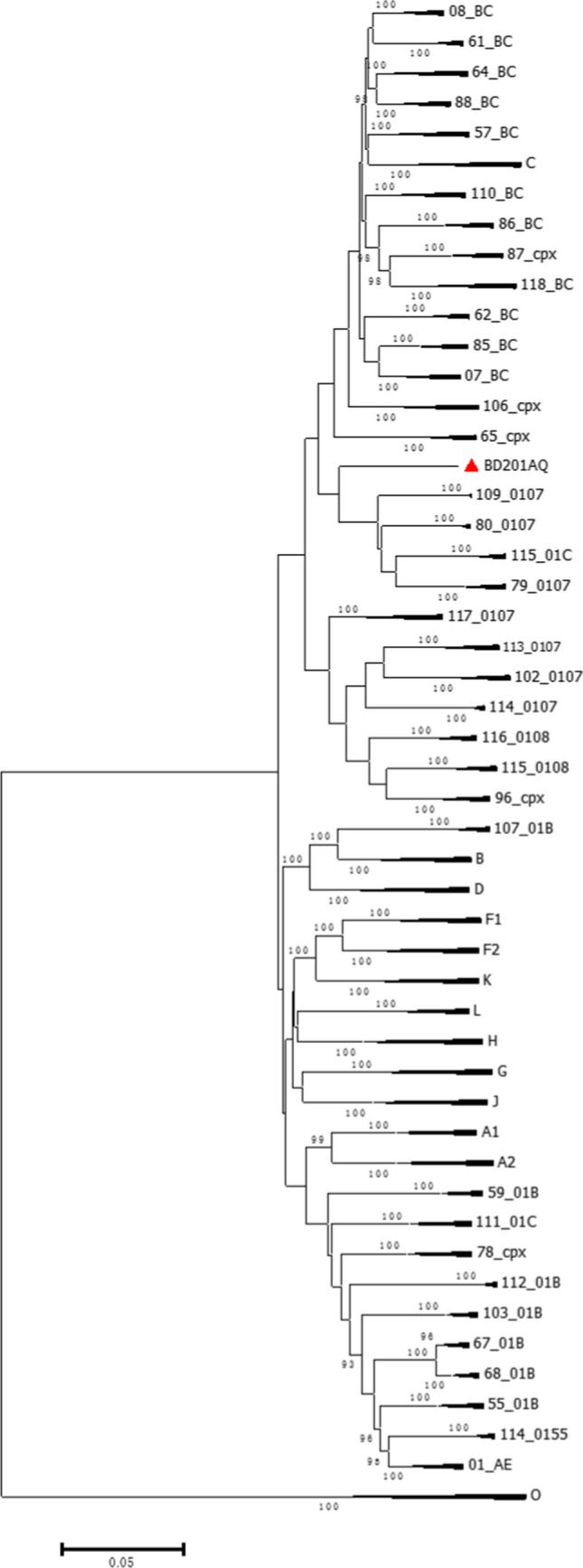 Fig. 1