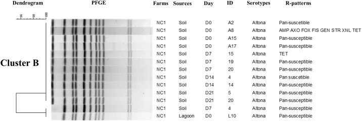 Fig 3