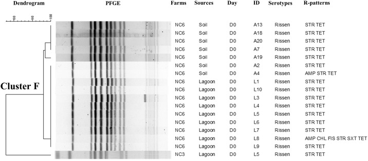 Fig 4