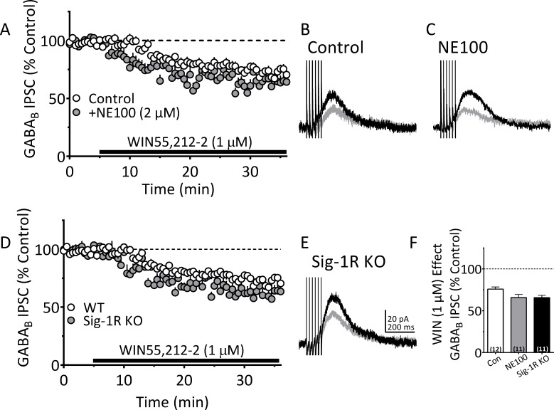 Figure 6—figure supplement 1.