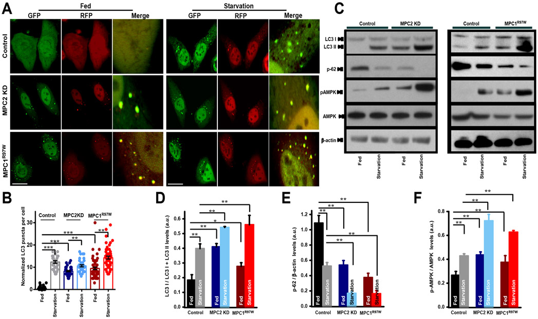 Figure 6: