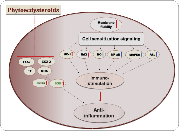 Figure 10