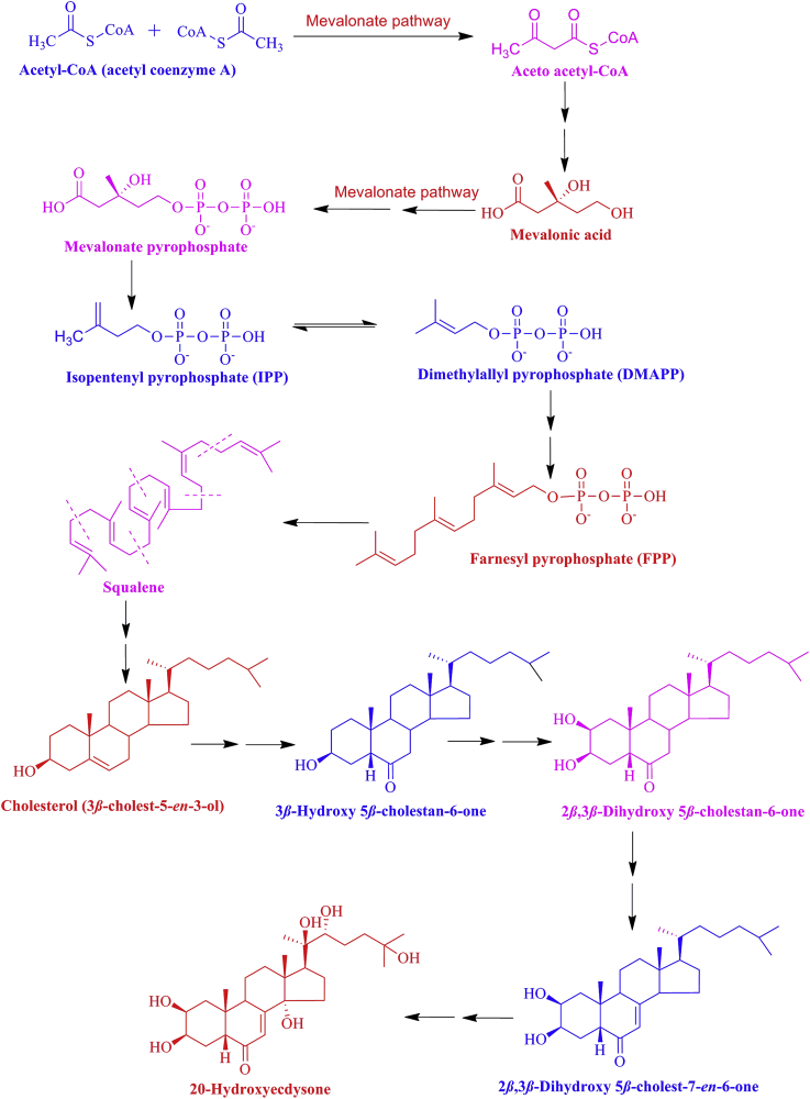 Figure 9