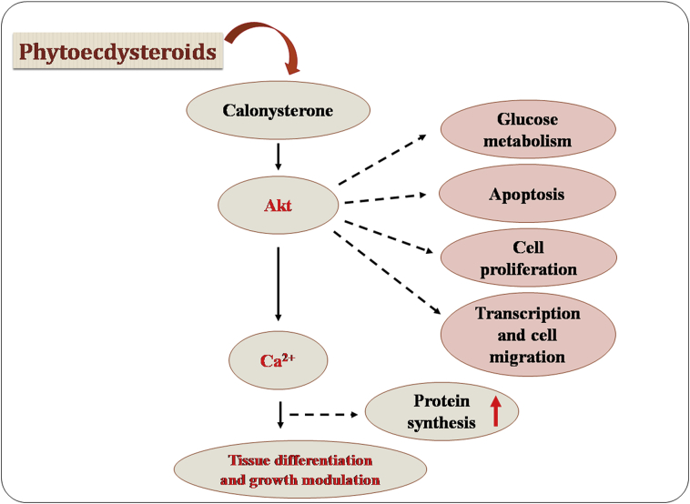 Figure 11