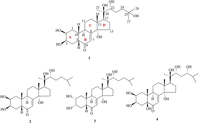 Figure 1