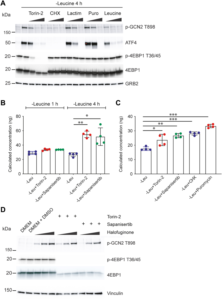 Figure 6