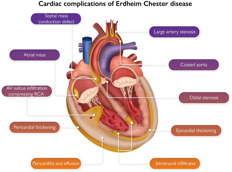 Graphical Abstract