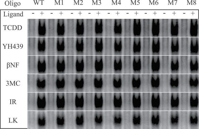 FIG. 6.