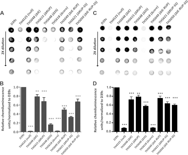 FIG 6