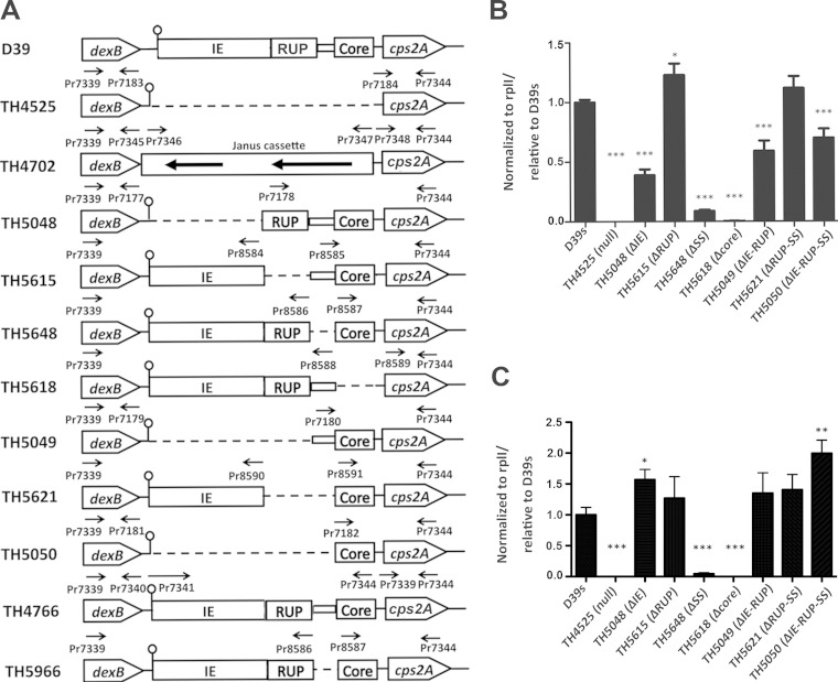 FIG 4