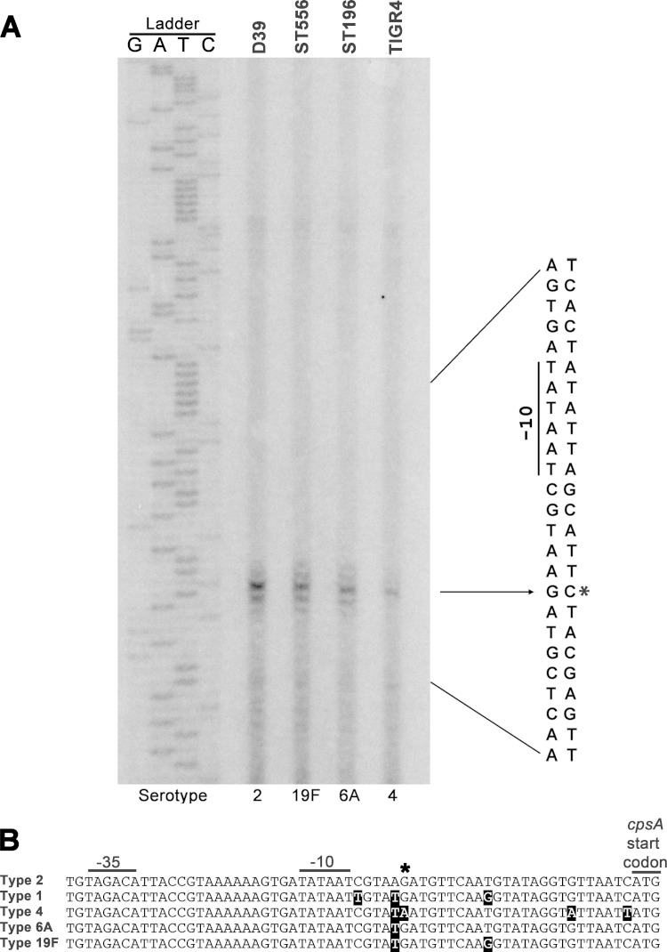 FIG 2