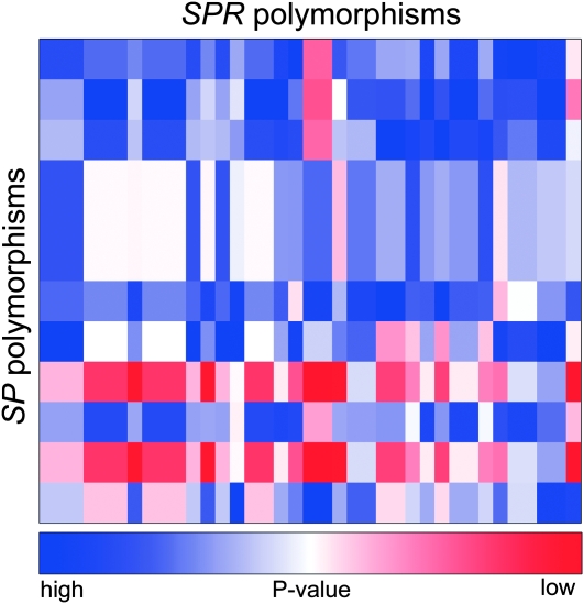 Figure 3.—