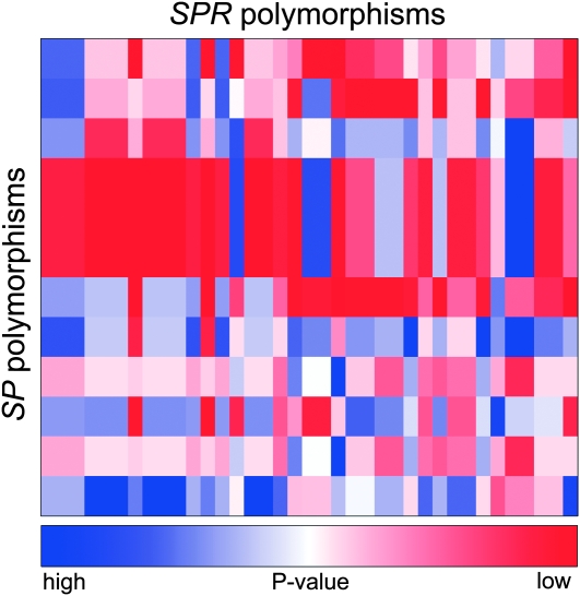 Figure 4.—