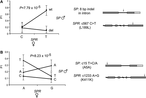 Figure 5.—