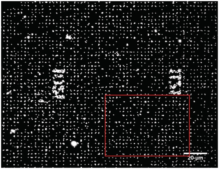 Figure 3.