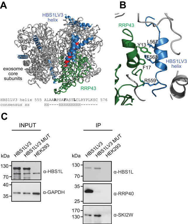 Figure 6.