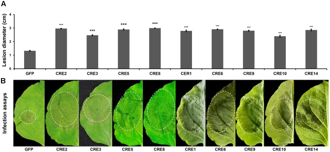 FIGURE 3