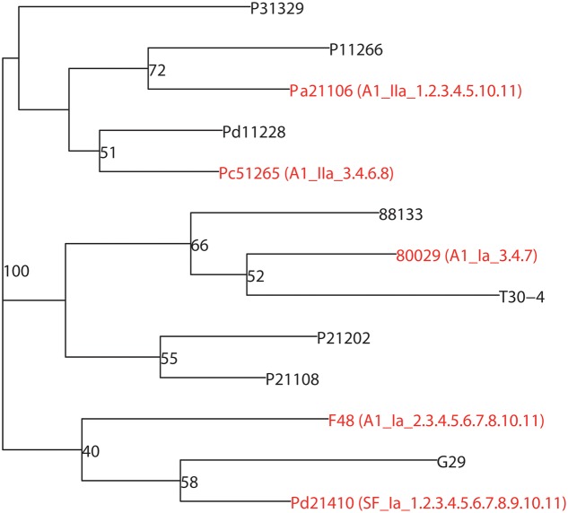 FIGURE 1