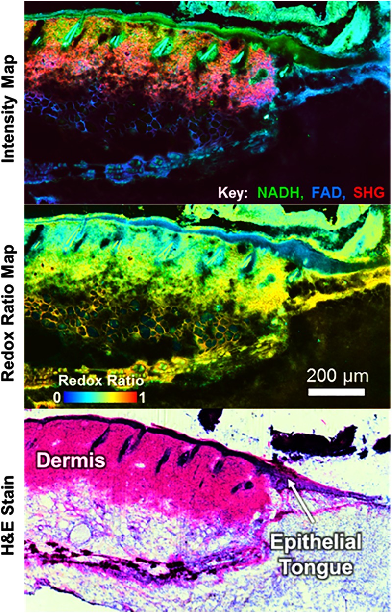 FIG. 6.