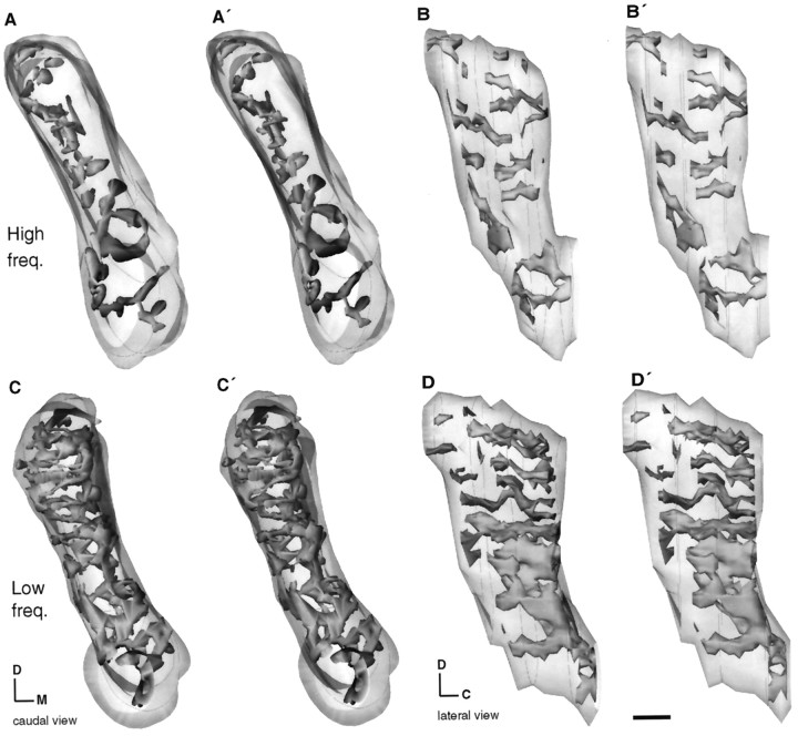 Fig. 8.