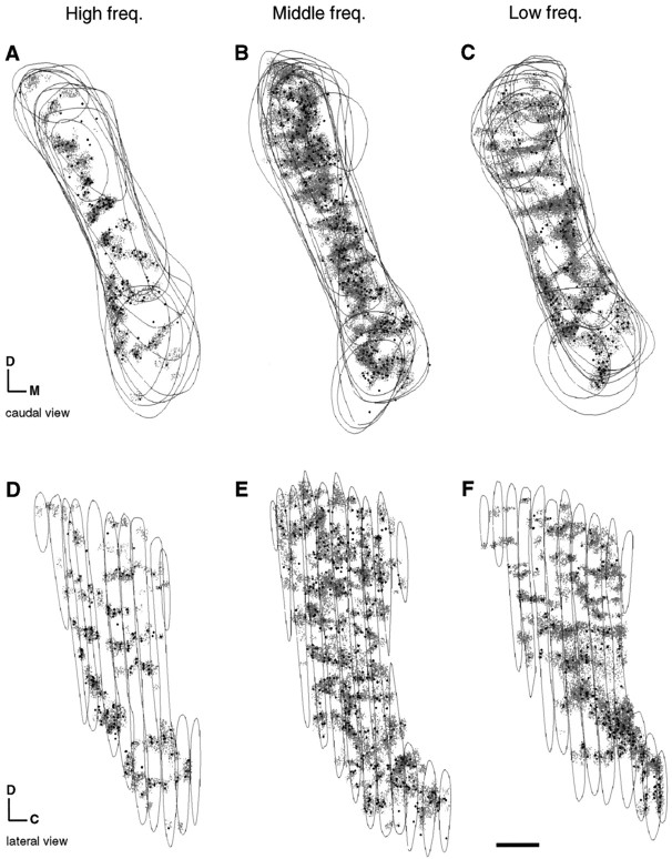 Fig. 9.