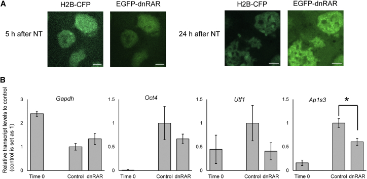 Figure 3