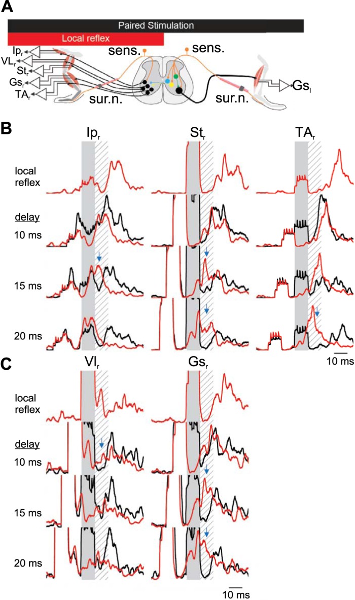 Fig. 6.