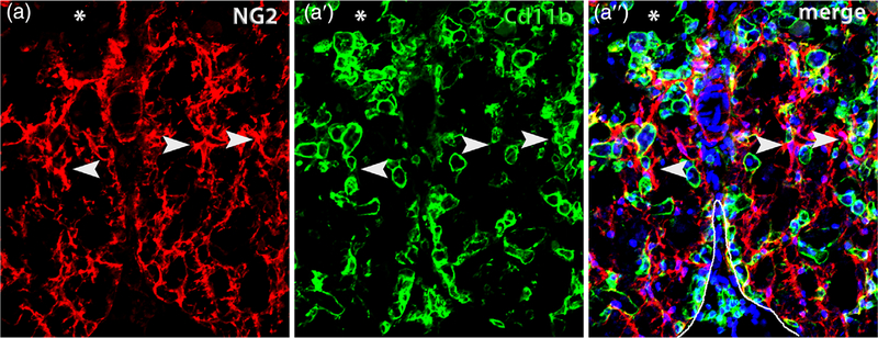 FIGURE 3