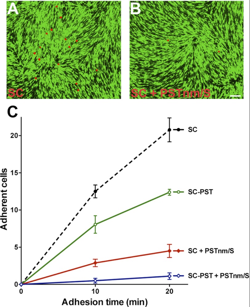 FIGURE 5.