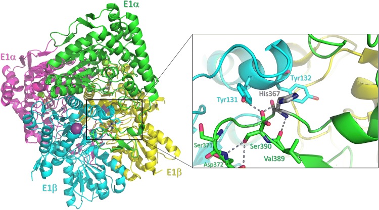 Fig. 2