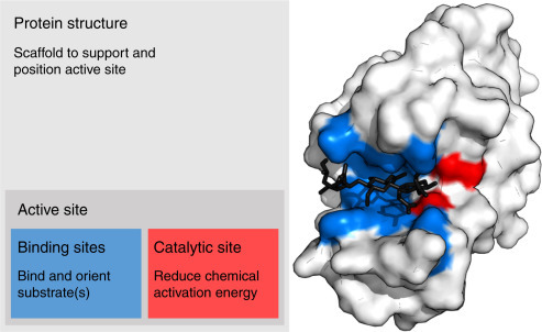 Figure 1.1