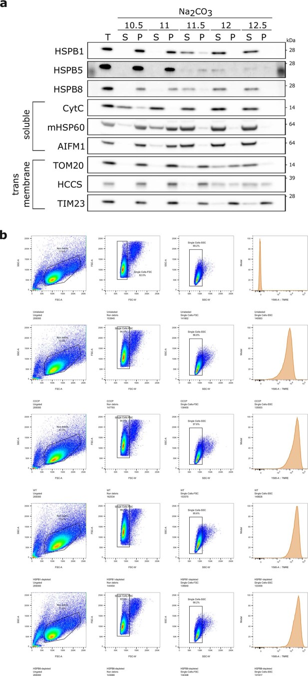 Extended Data Fig. 7