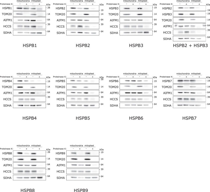 Extended Data Fig. 4