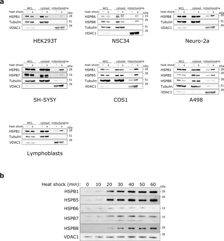 Extended Data Fig. 1