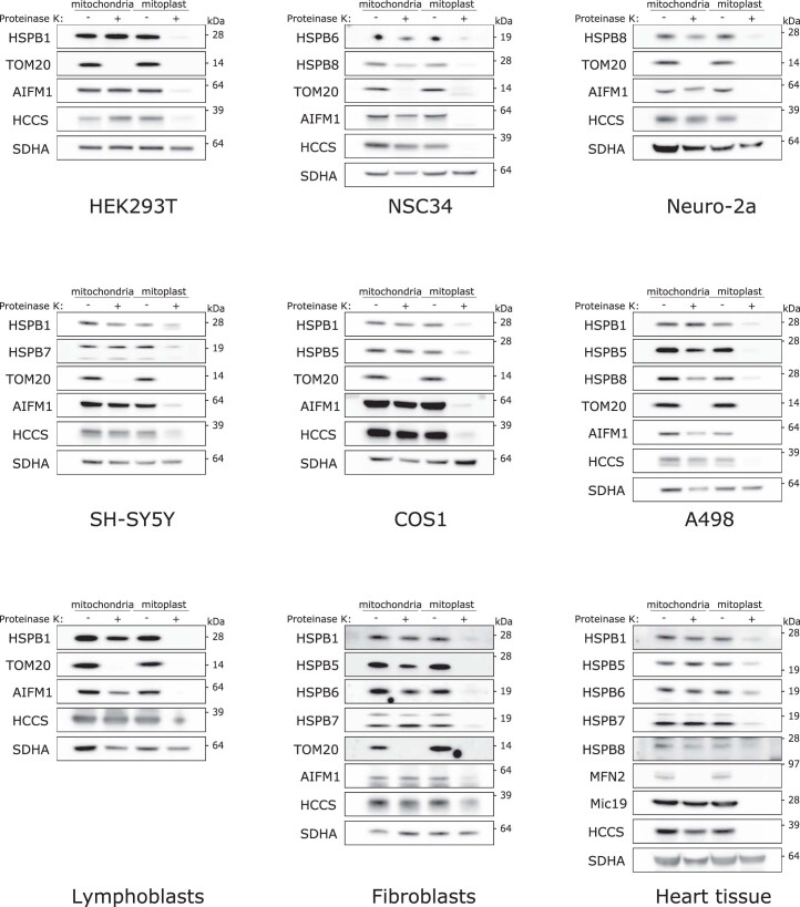 Extended Data Fig. 3