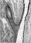 496-1