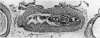 496-1