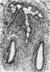 496-7