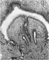 496-3