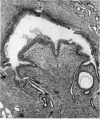 496-3