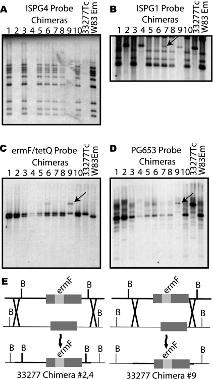 FIG. 2.