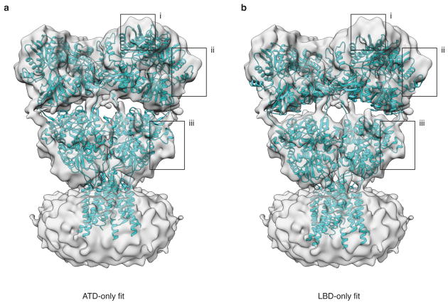 Extended Data Figure 3