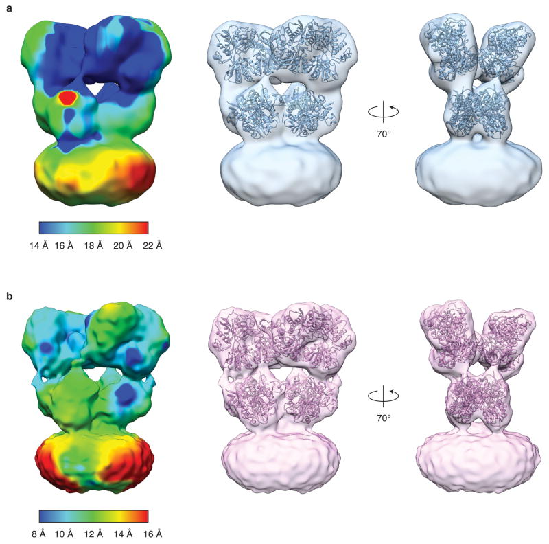 Extended Data Figure 6