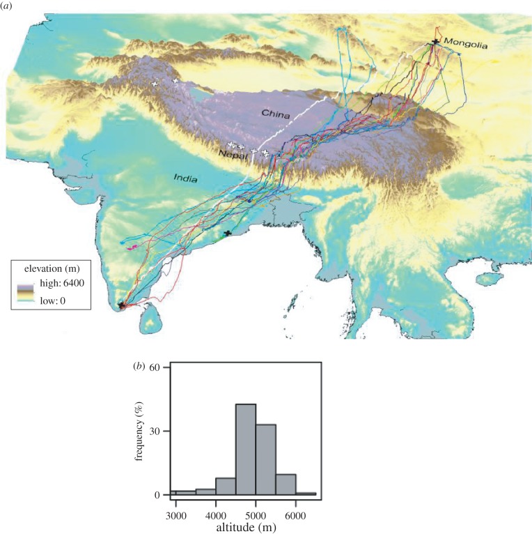 Figure 6.