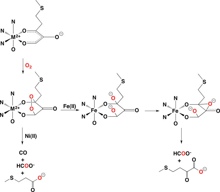 Figure 21