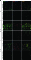 FIG. 2.