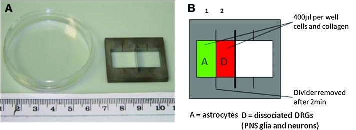 FIG. 1.