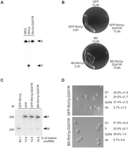 Figure 3.